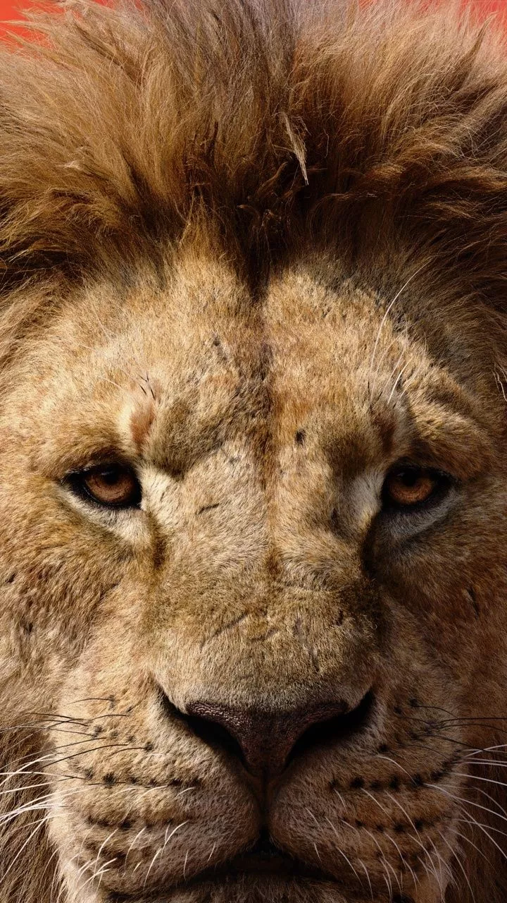 Mufasa The Lion King 2024 Film Ultra HD