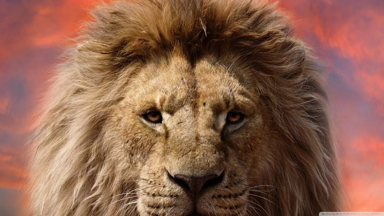 Mufasa The Lion King 2024 Film Ultra HD