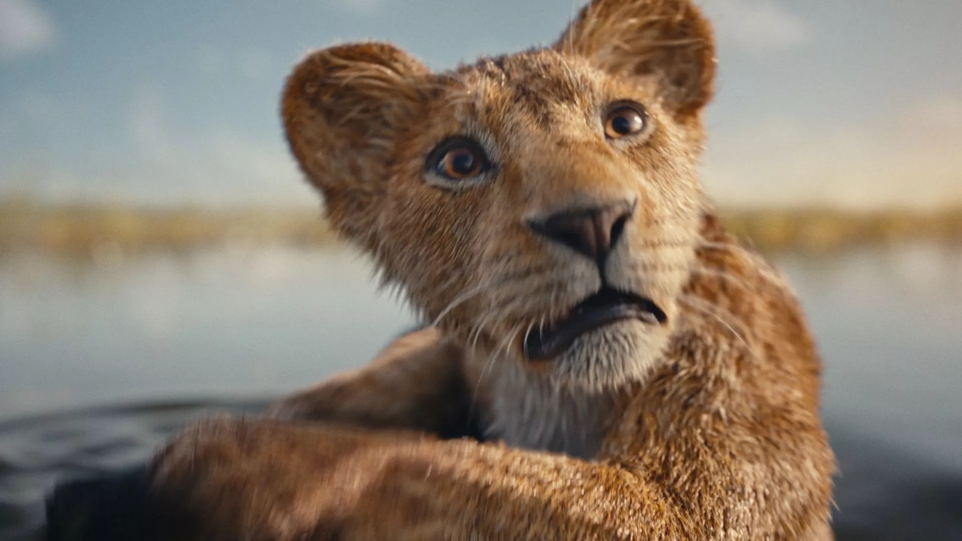 Mufasa: The Lion King Features More