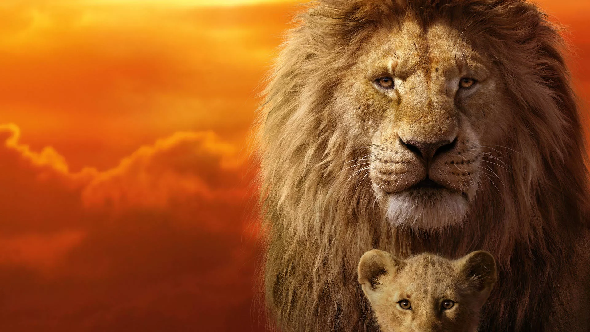 Mufasa Teaches Simba To Rule Over