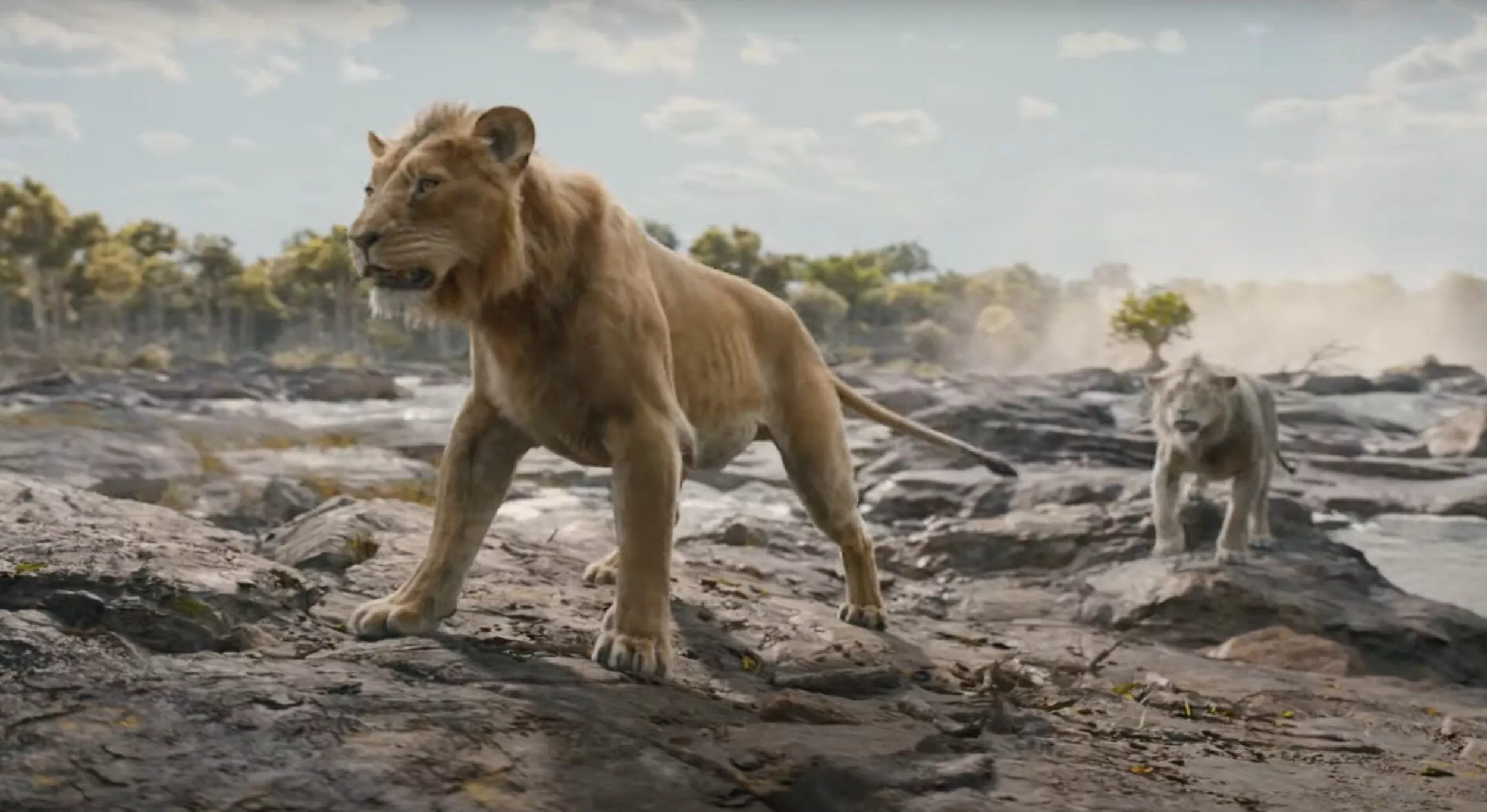 LION KING
