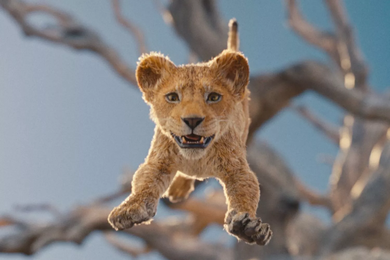 Mufasa: The Lion King Shows