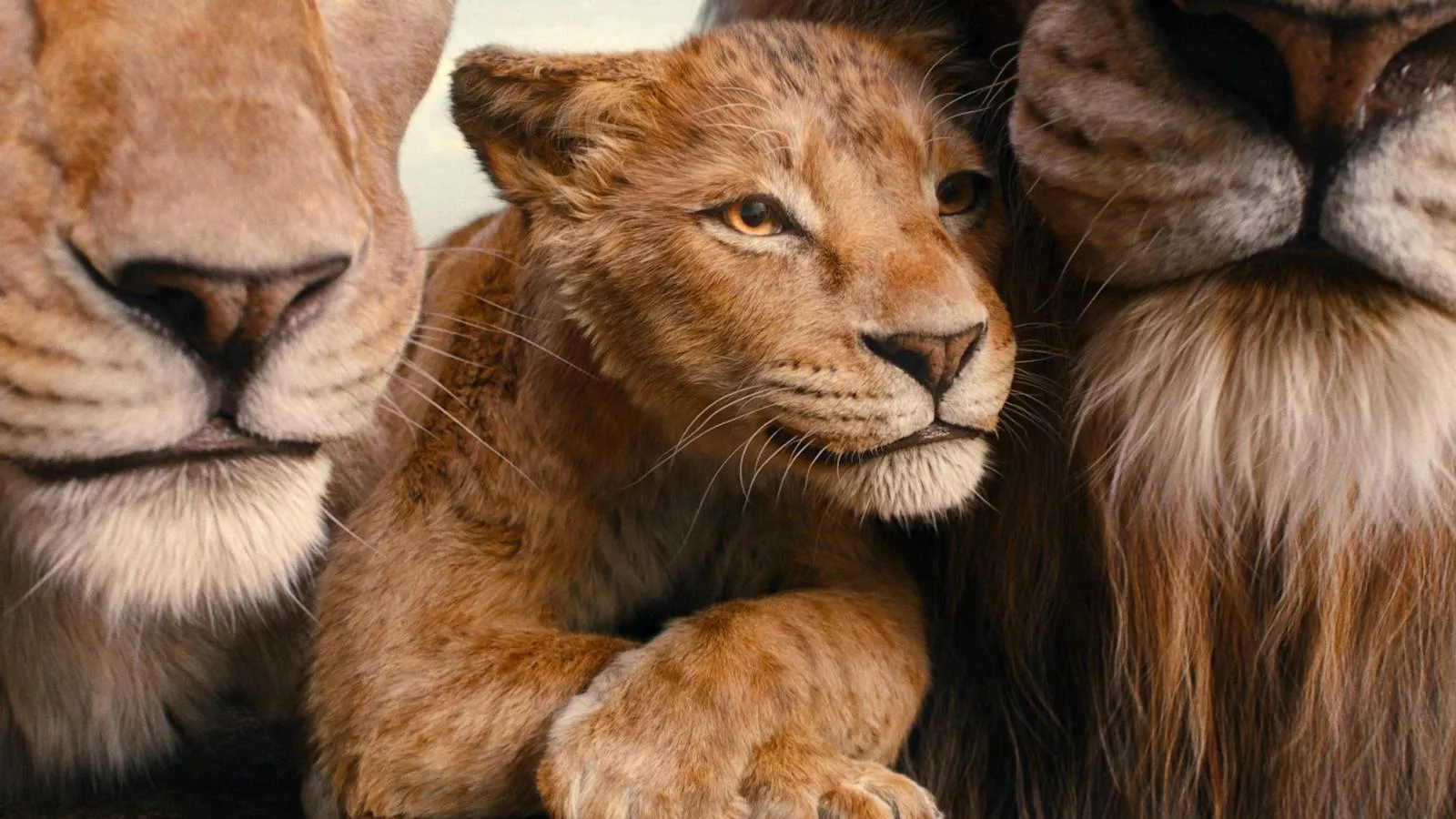 Final trailer for 'Mufasa: The Lion