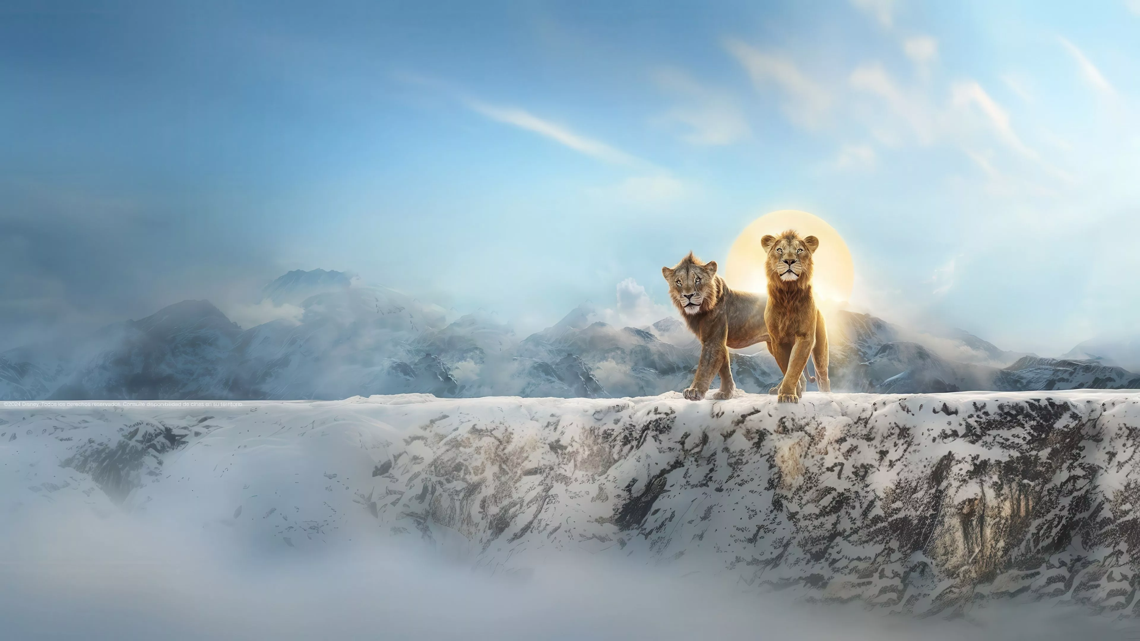 Mufasa: The Lion King 4k Ultra HD Wallpaper