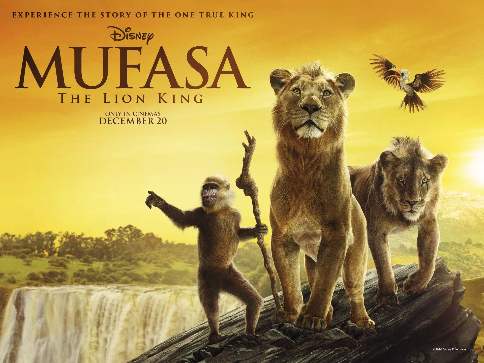 Regal Stowmarket. Mufasa: The Lion King