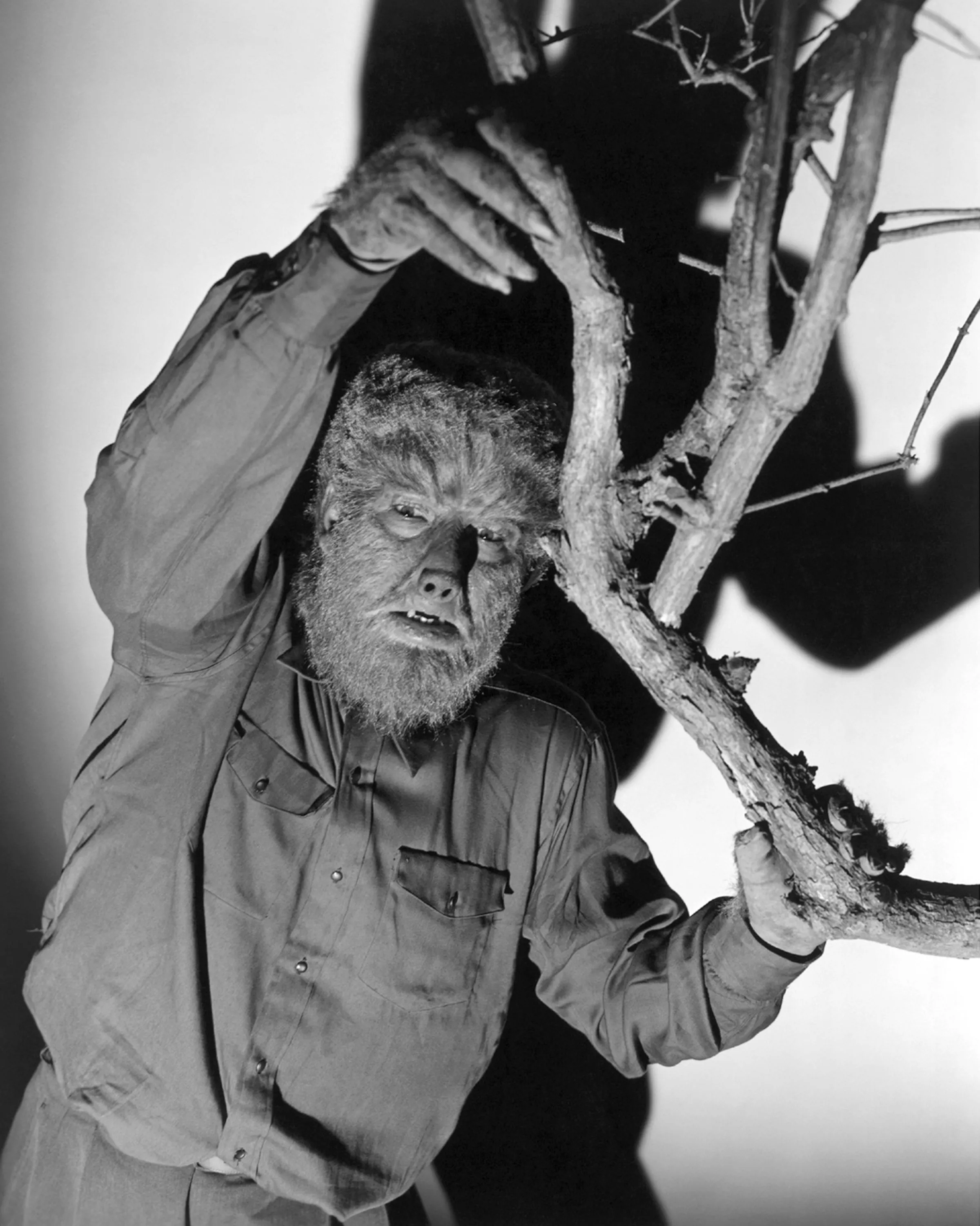 The Wolf Man