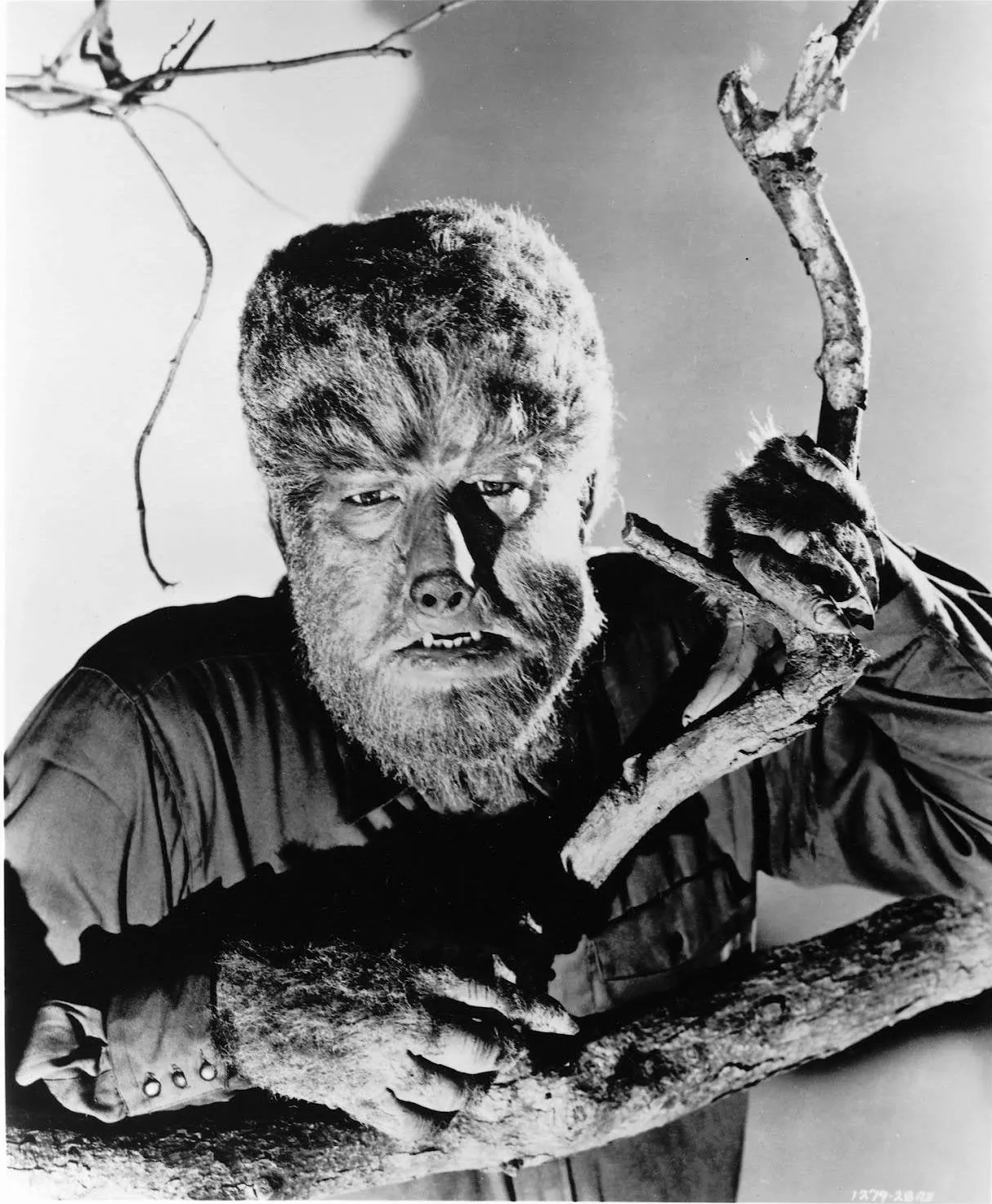 Wolf Man