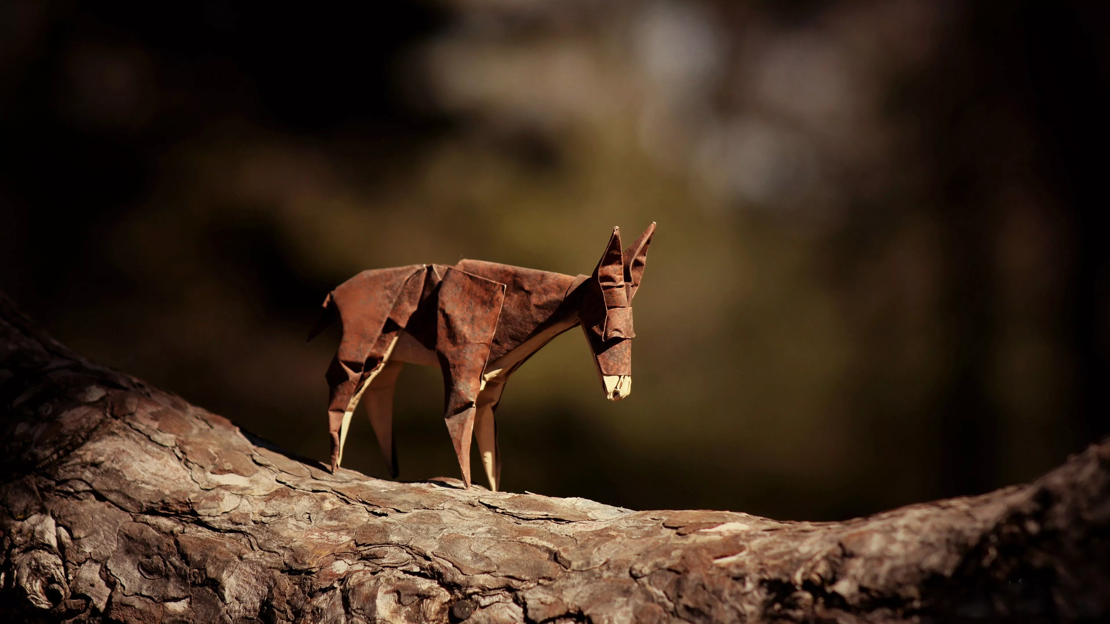 Donkey Origami Wallpaper, HD Creative