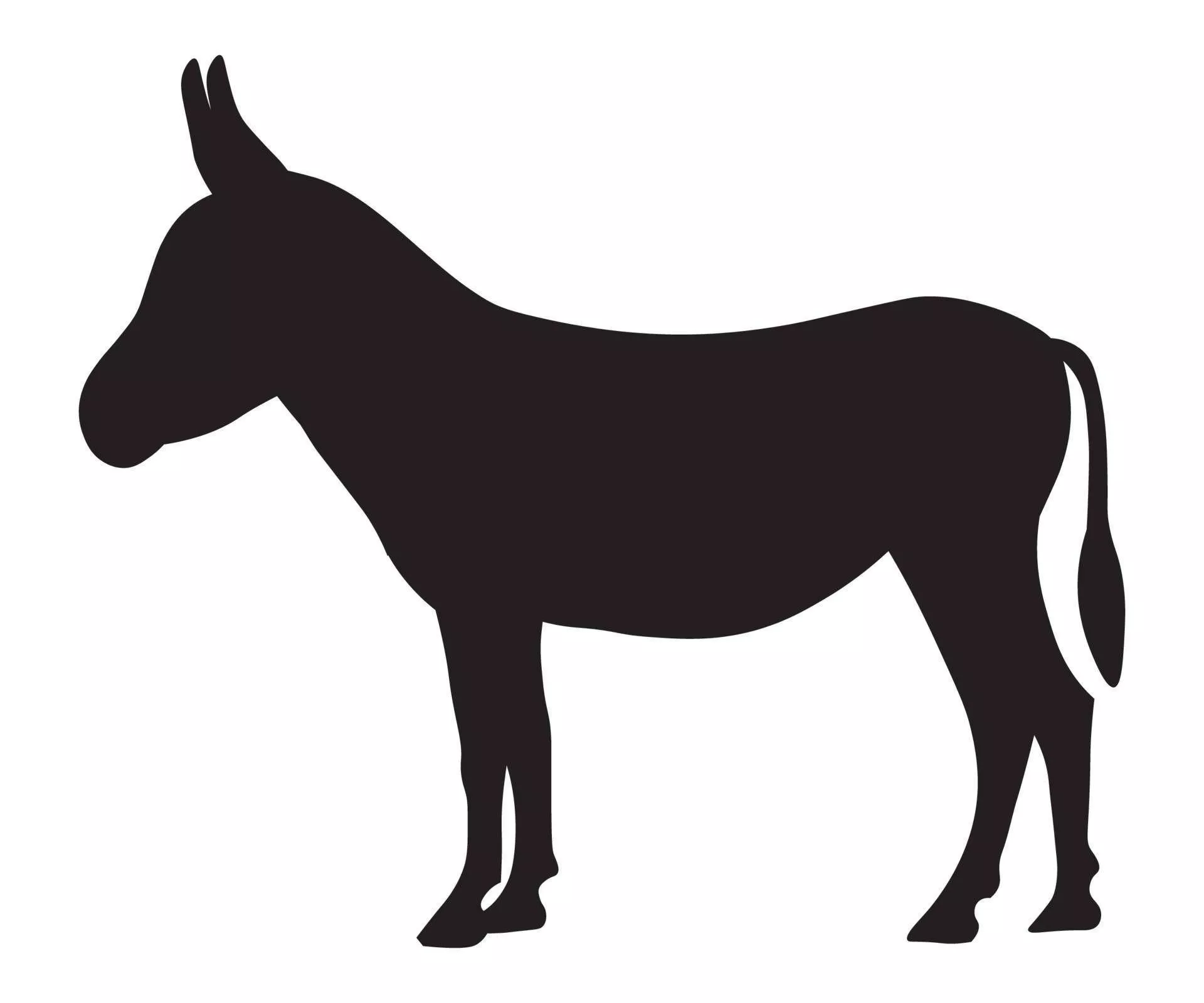 Donkey Wallpaper
