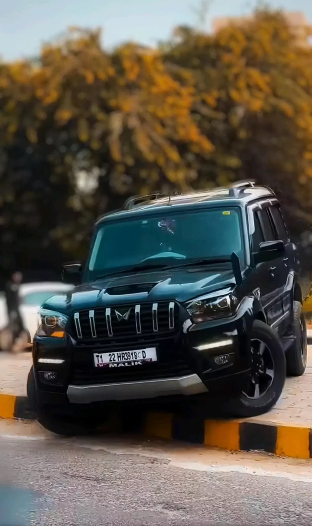 Anmi wallpaper ideas. anmi wallpaper, black scorpio, scorpio image