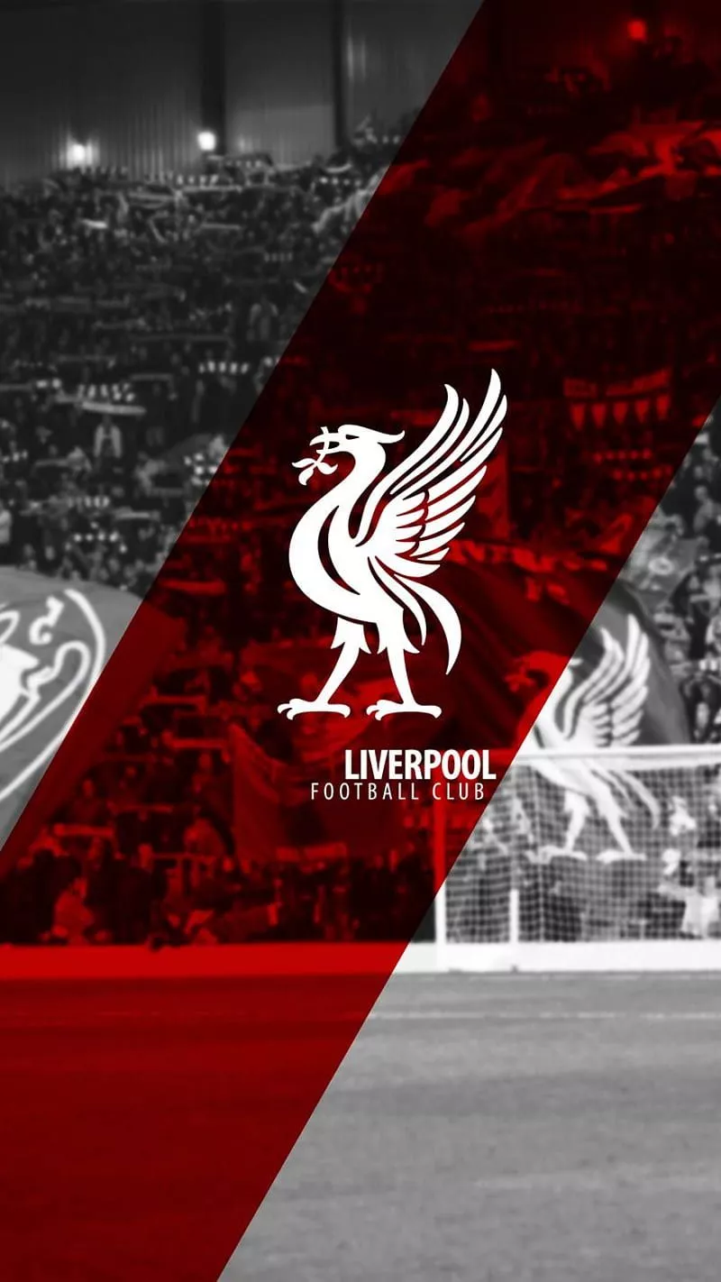 Liverpool FC, football, liverpool, HD phone wallpaper