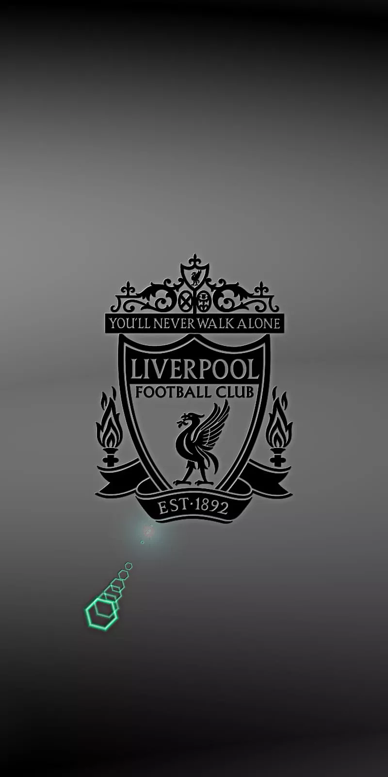 Liverpool FC, champion, champions