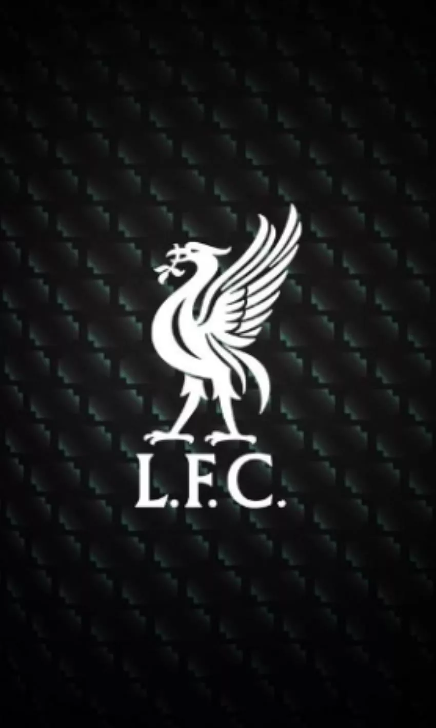 Liverpool FC, symbol, football HD phone