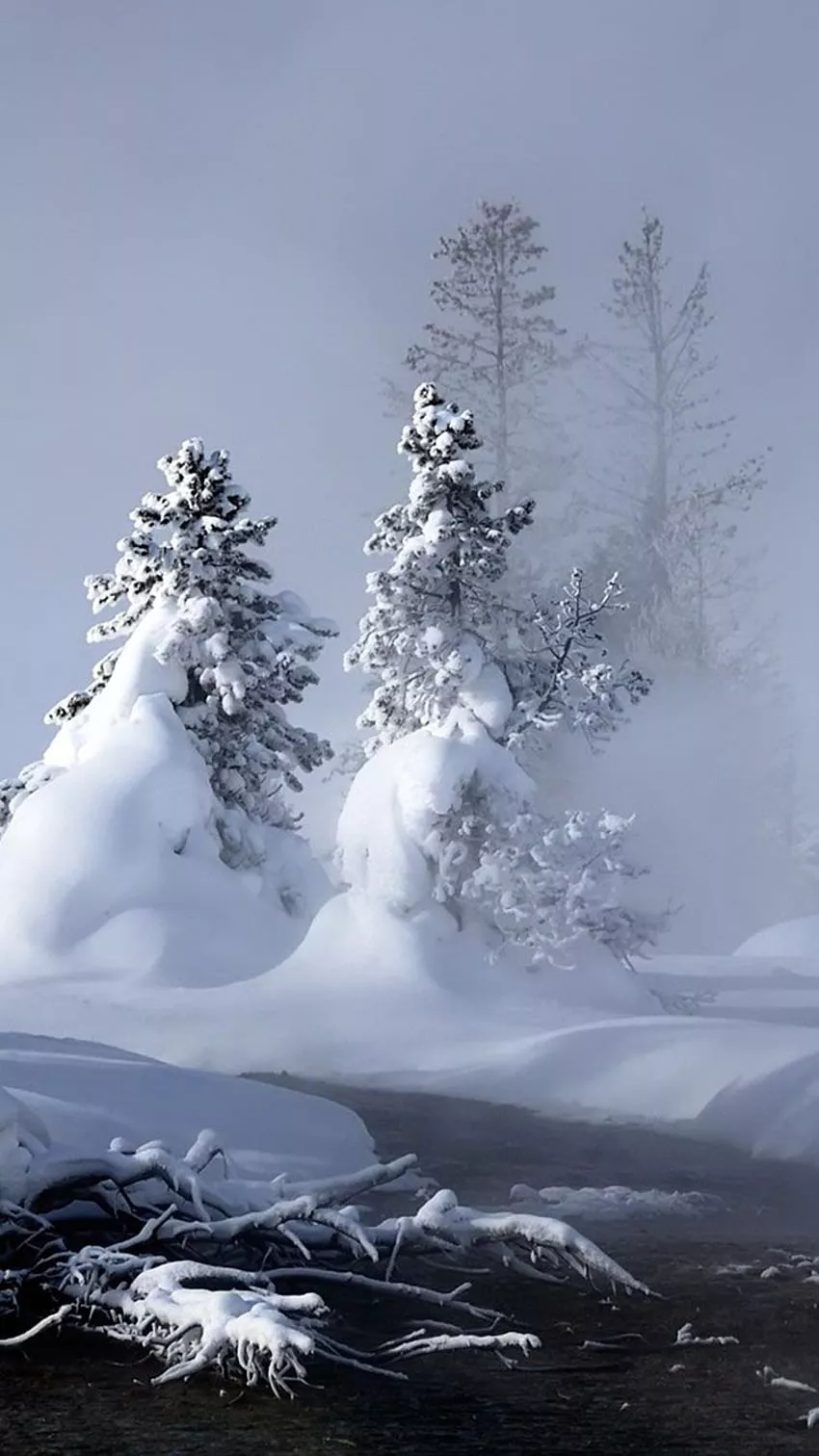 Snow iPhone, Beautiful Winter iPhone