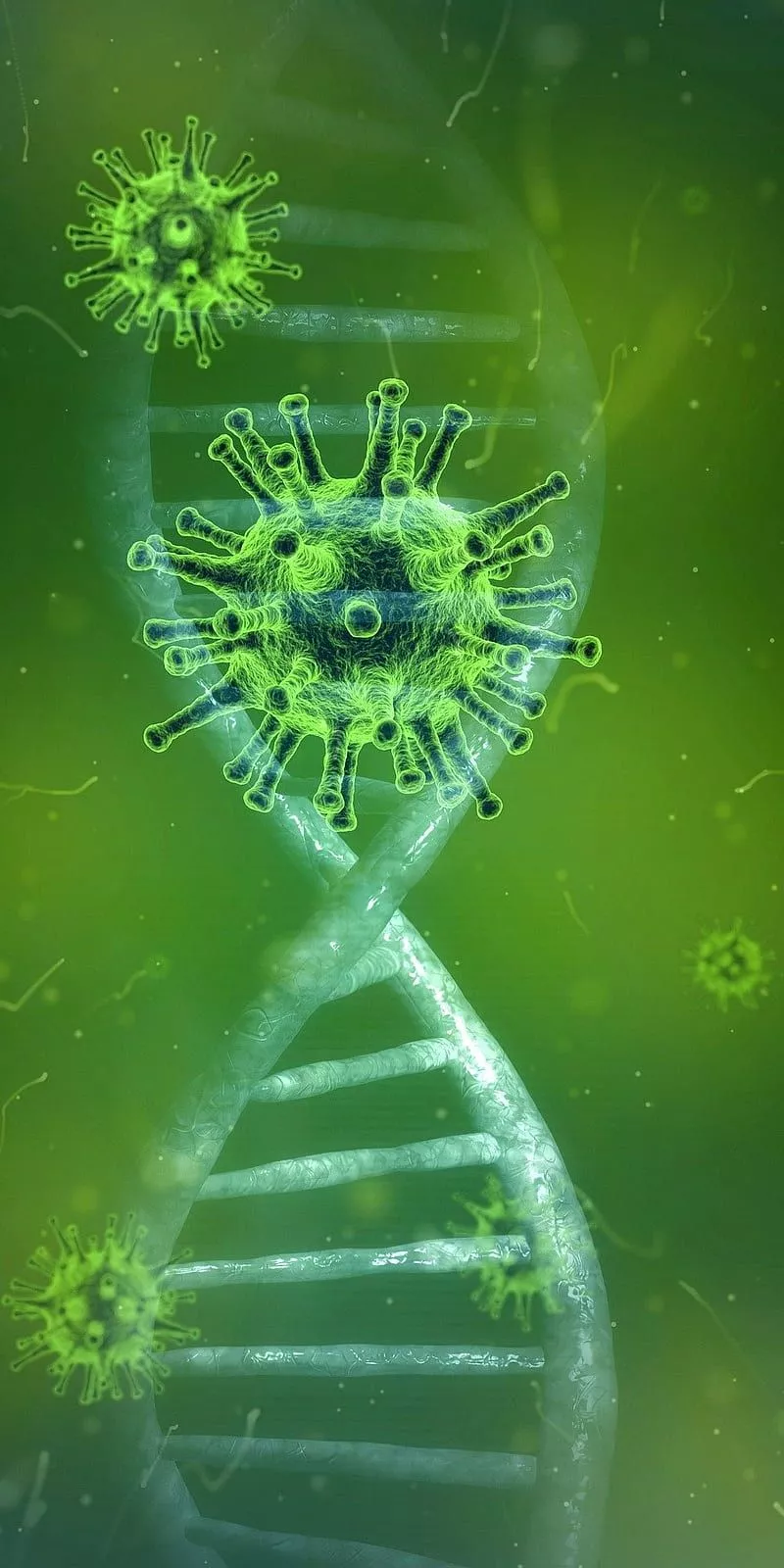 coronavirus, HD phone wallpaper