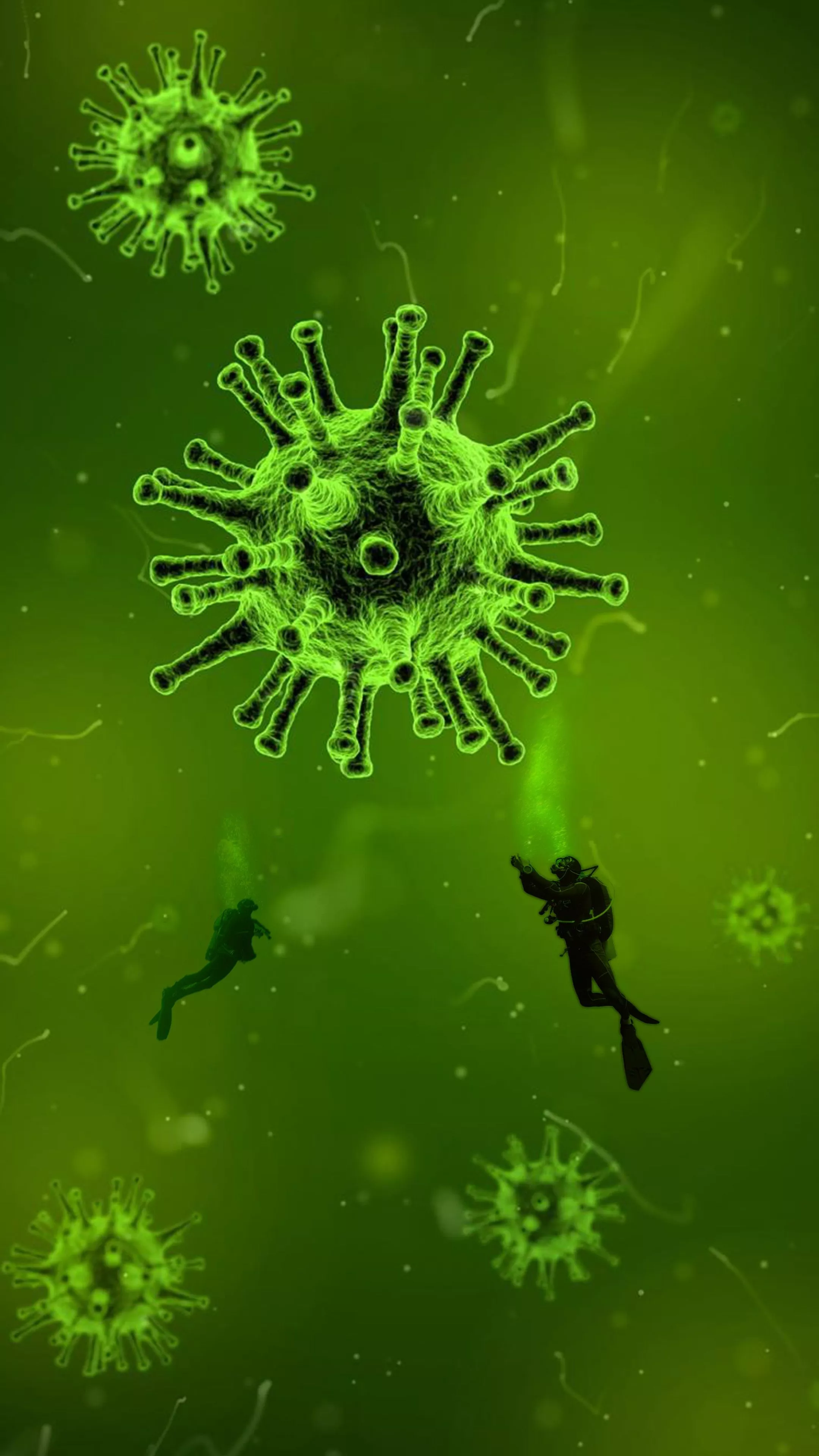 Wallpaper Virus, COVID 19, Coronavirus