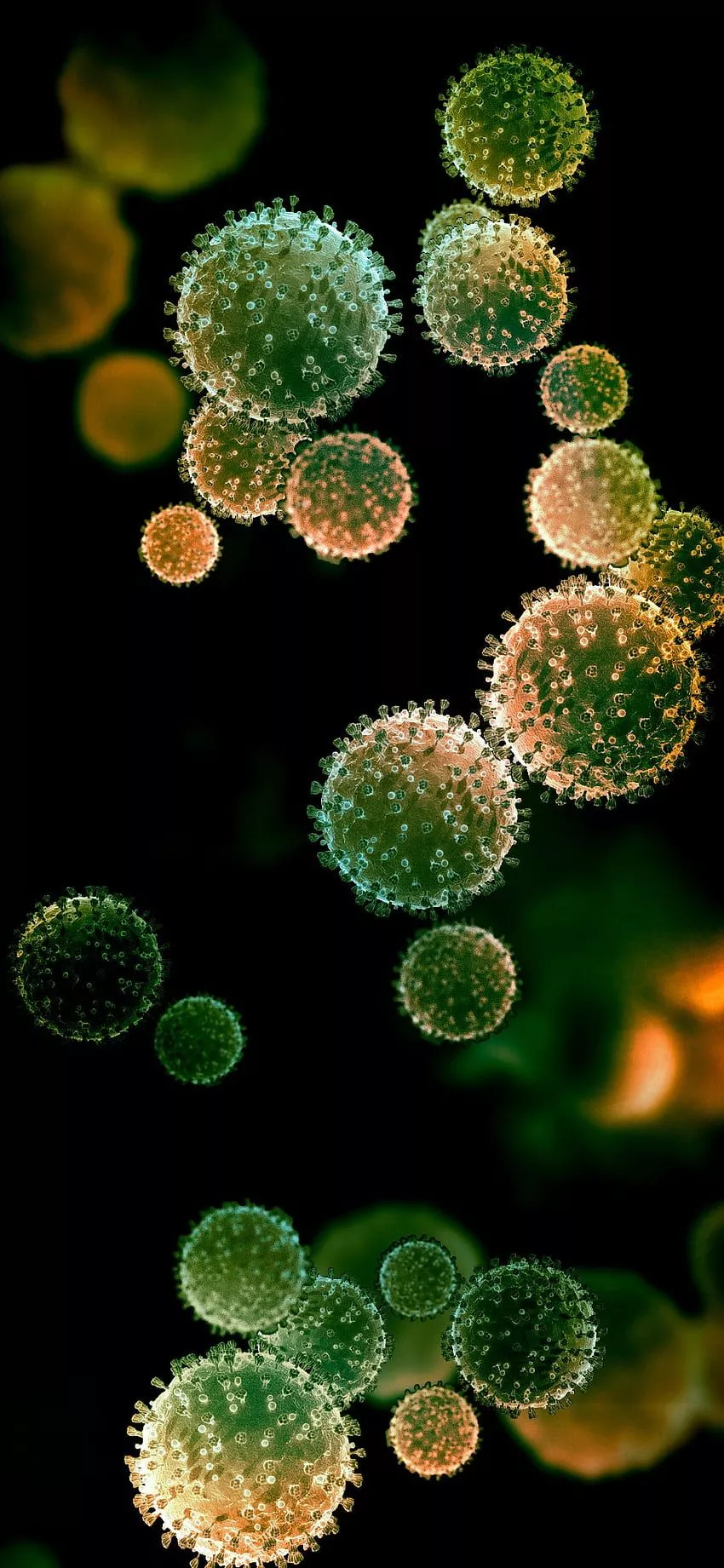 Fubiz Media, Virus HD phone wallpaper