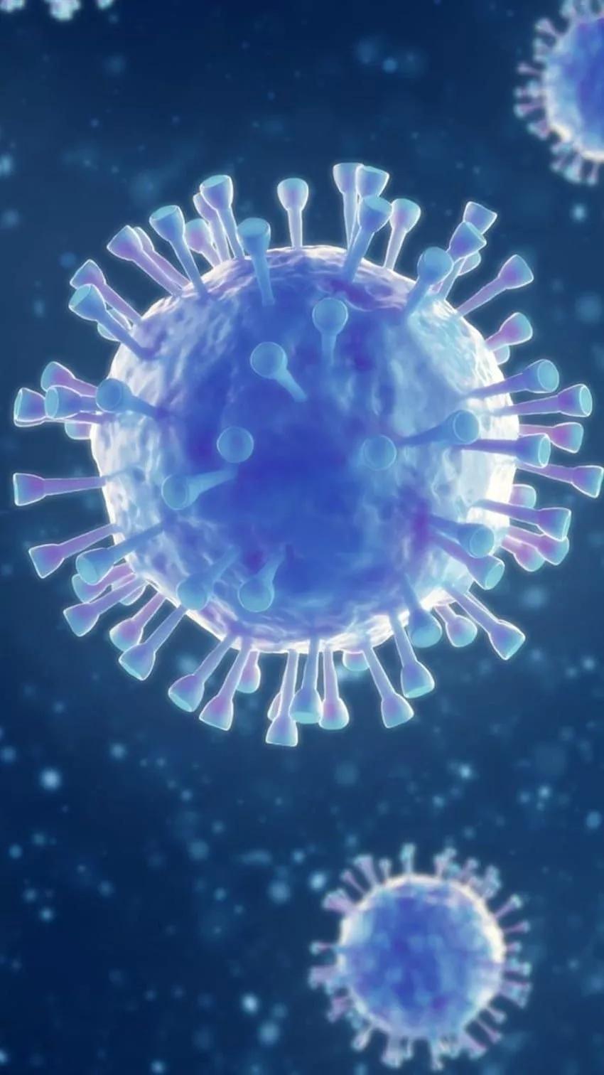 IPhone 8 7 6 6S HD phone wallpaper