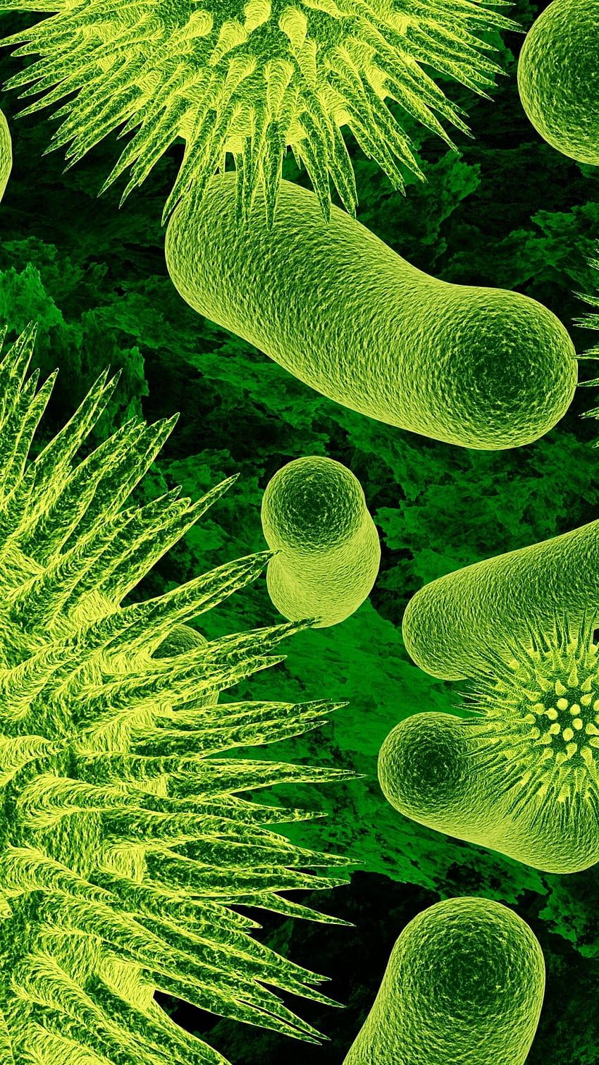 Bacteria, Virus, Green, Microbial