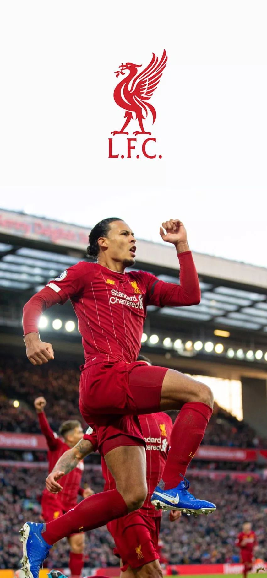 Liverpool, lfc, Van dijk, premier