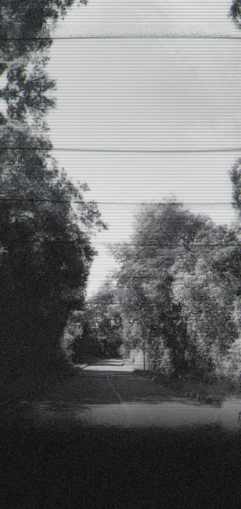 Why, alone, black, day, life, night