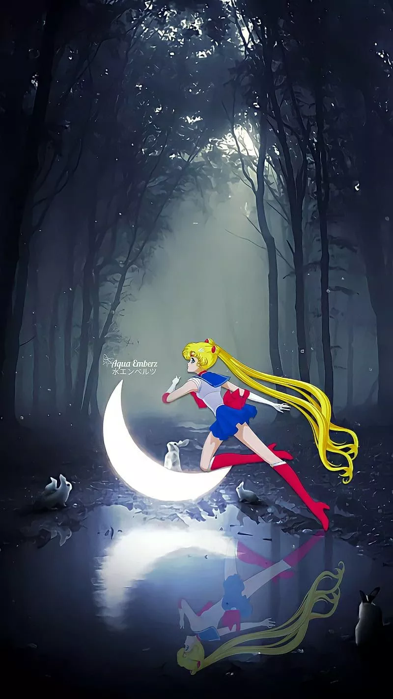 Sailor Moon, anime, sailormoon