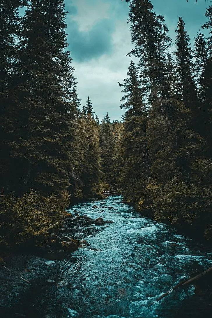 HD wallpaper: photography, phone