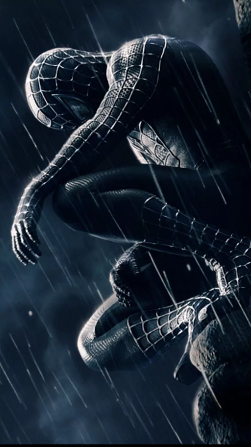 spider, HD phone wallpaper