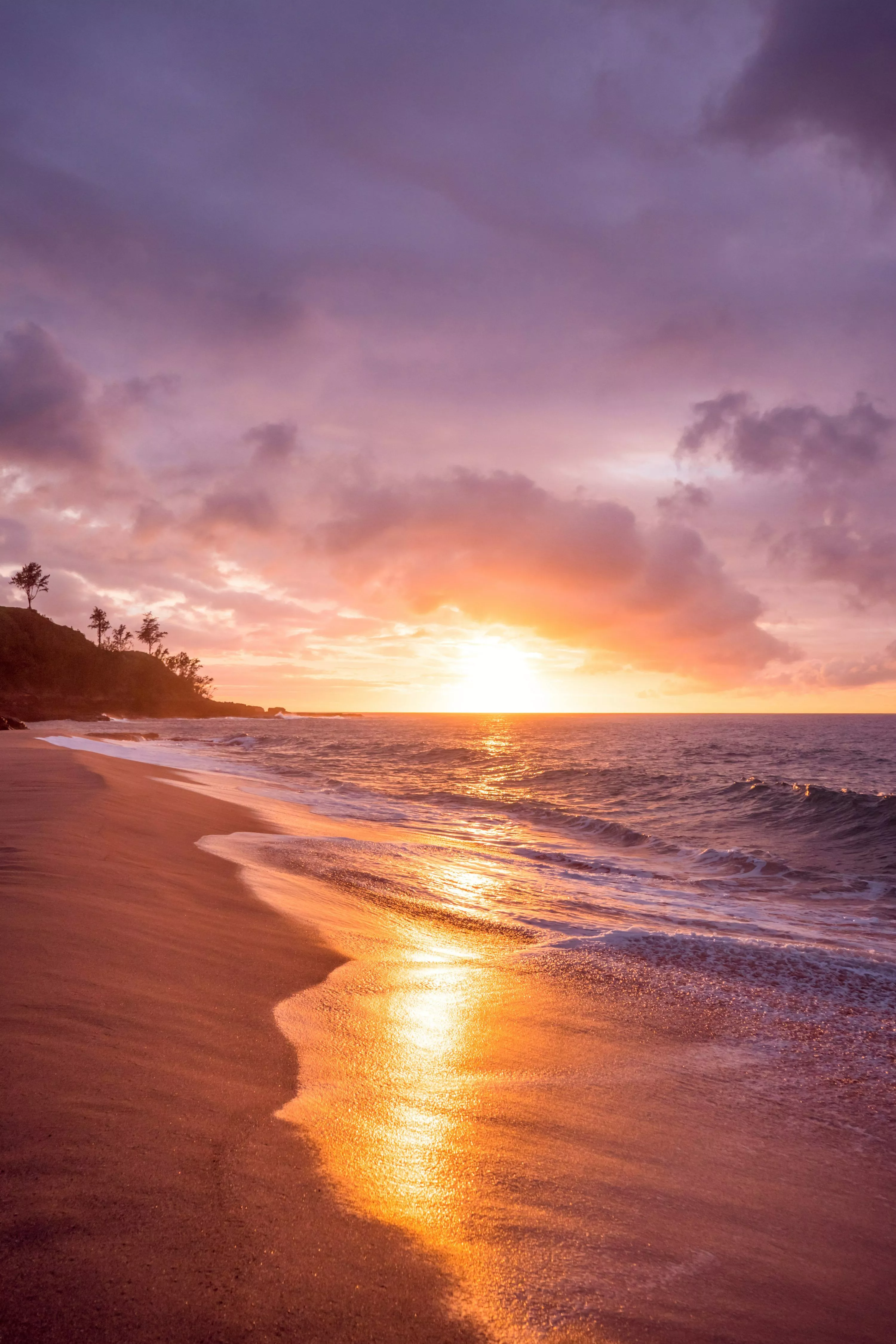 Beach seashore during sunset photo