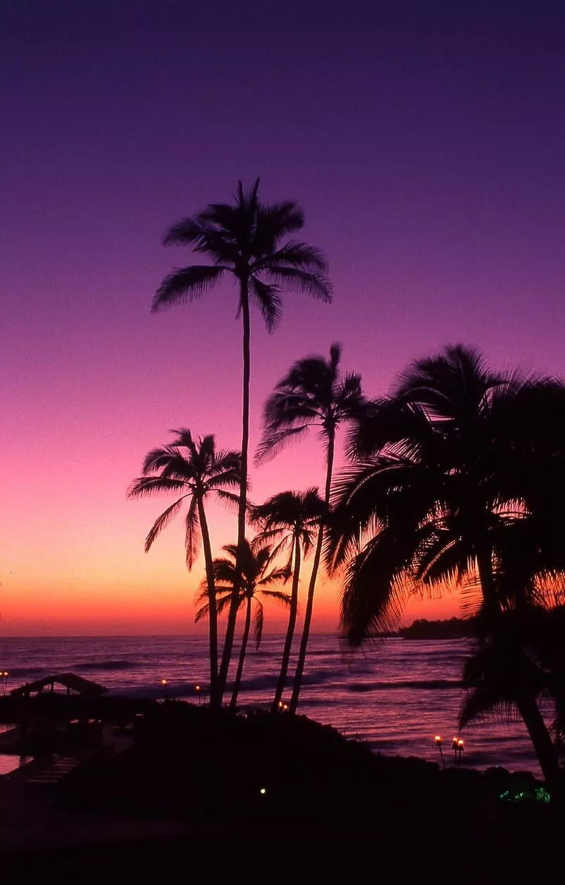 Tahiti Sunset, beach, palms, pink