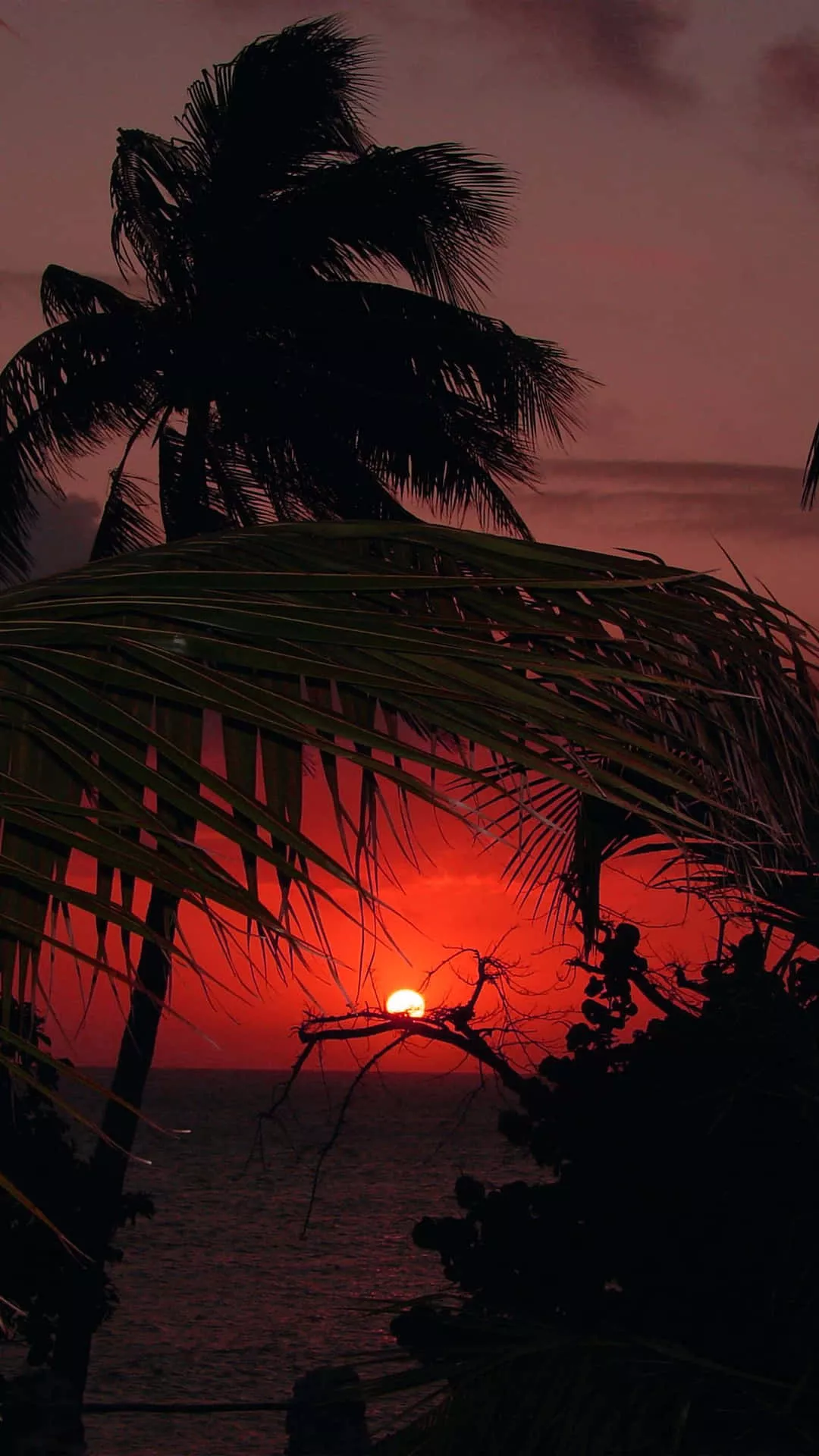 Download Tropical Island Sunset Holiday