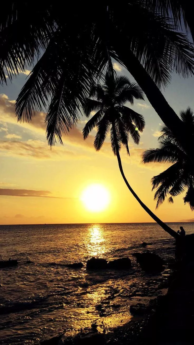 Beach sunset iphone wallpaper HD