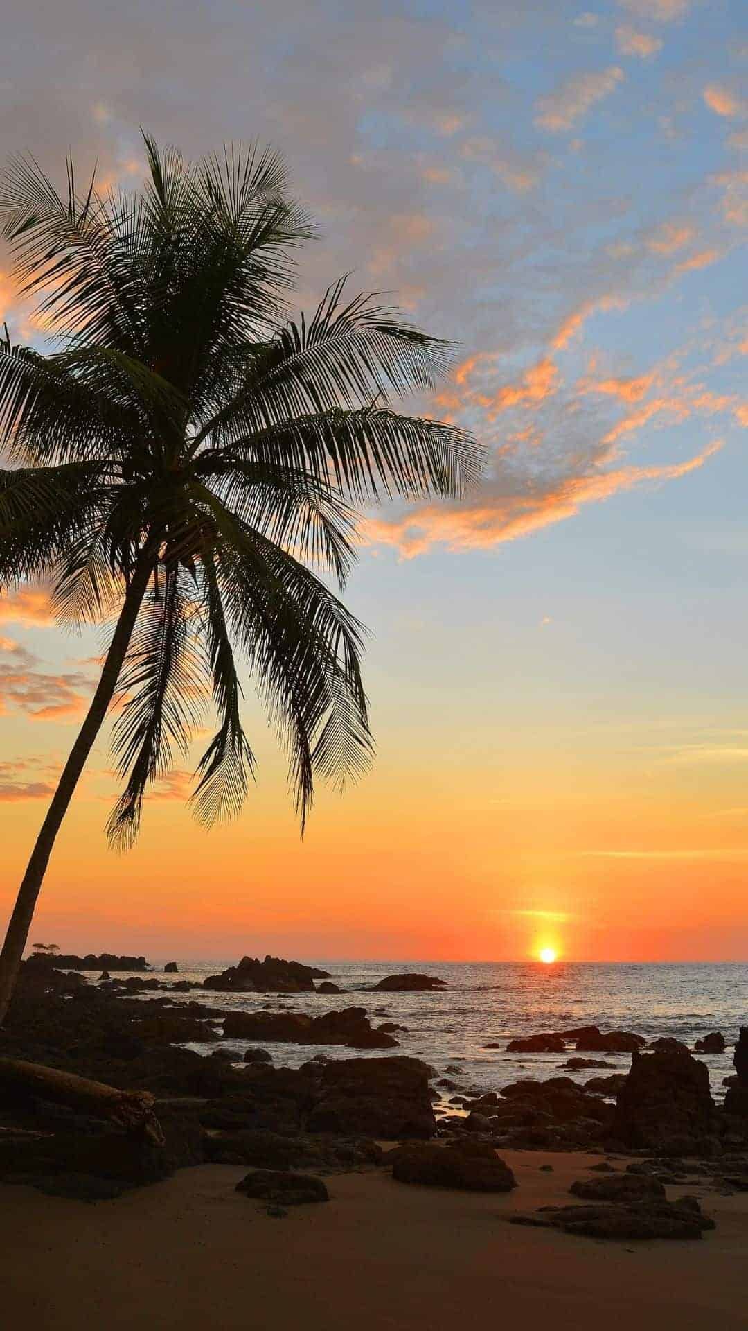 Sunset iPhone wallpaper. Sunset