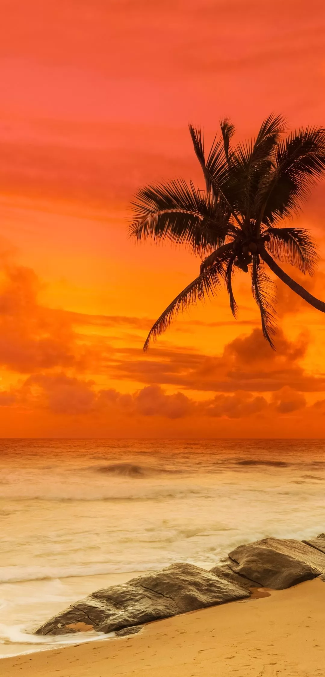 Ocean Beach Tropical Nature Sunset