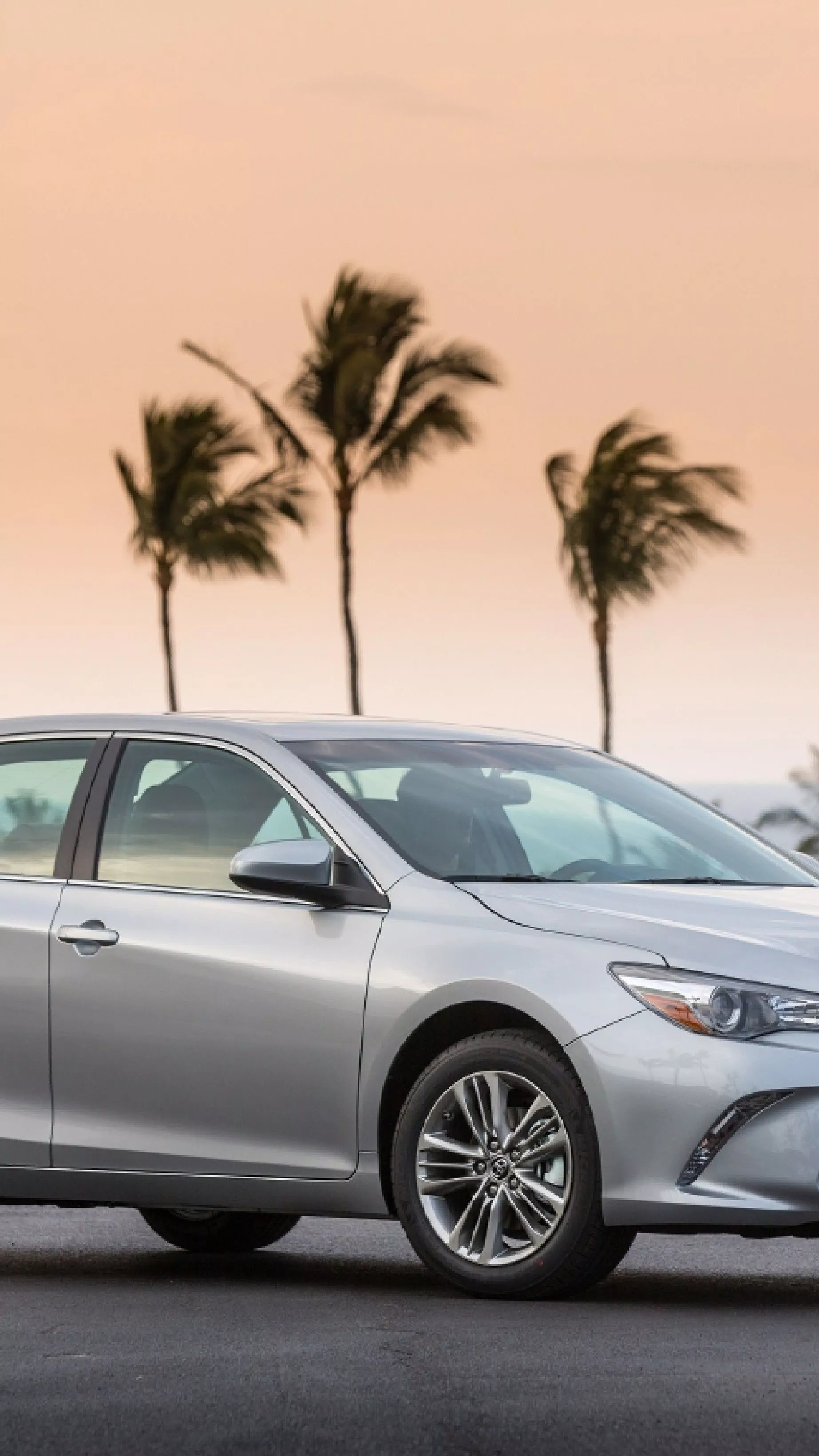 index puts Toyota & Honda