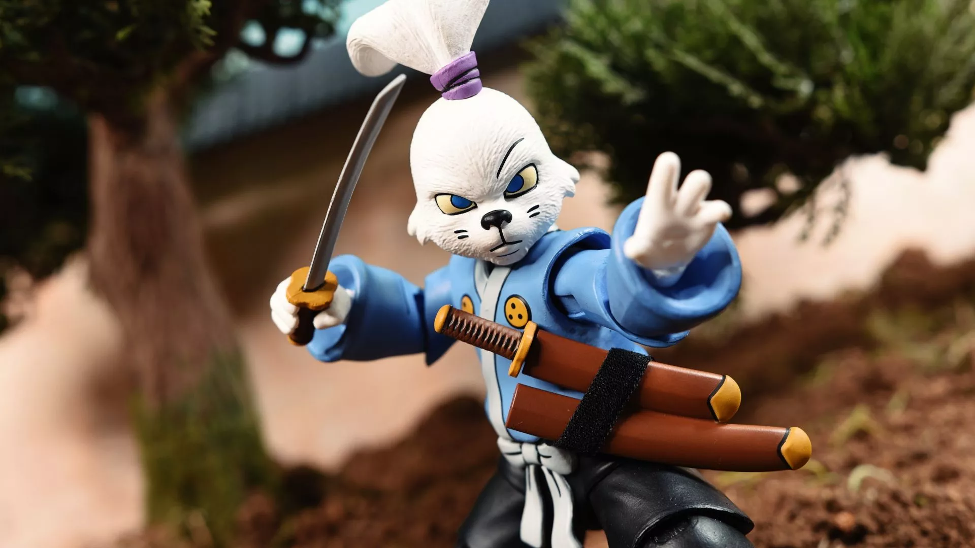 Teenage Mutant Ninja Turtles Usagi