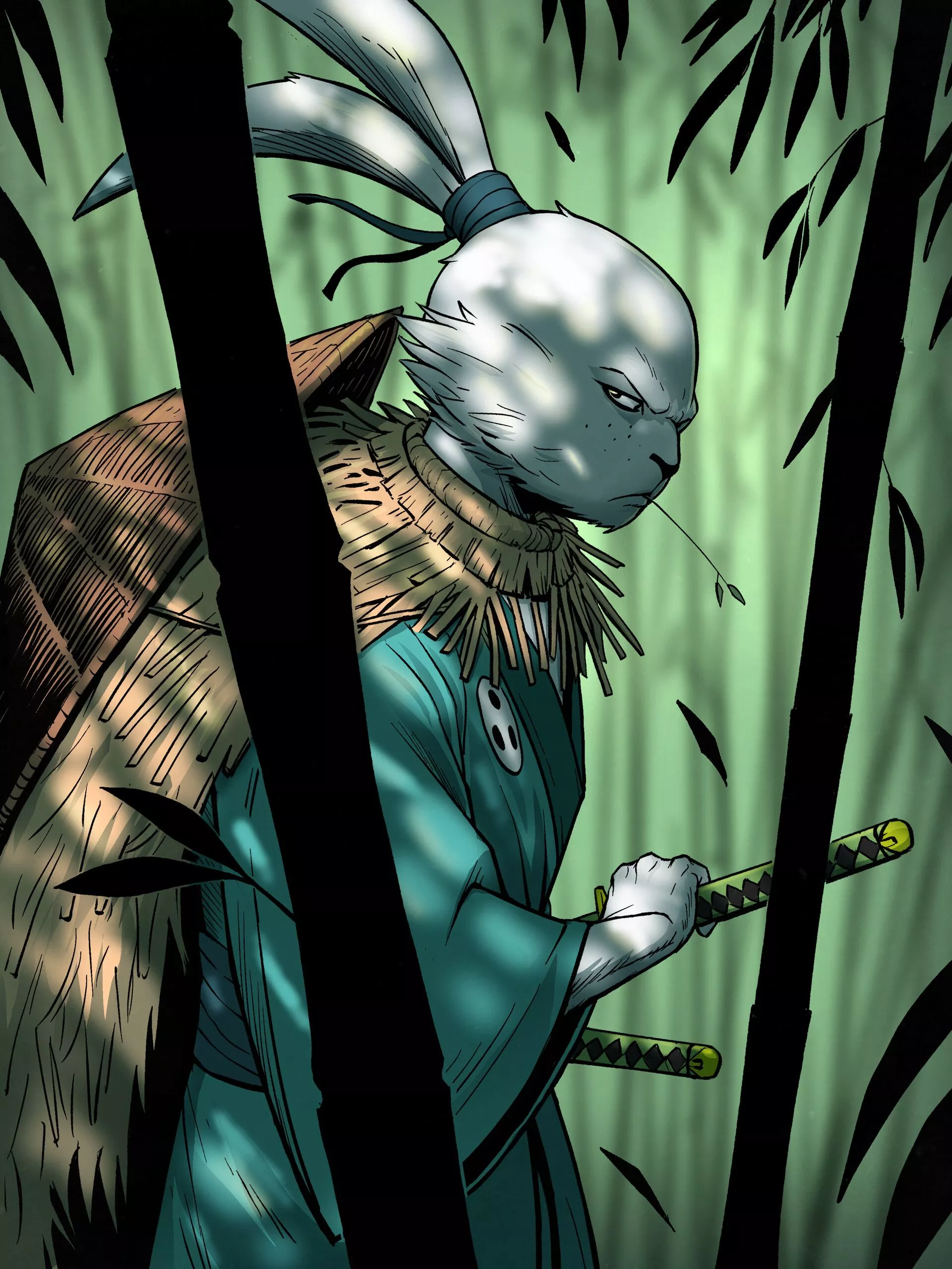Usagi Yojimbo Fan Art