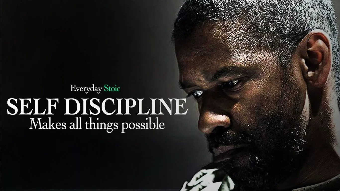 Everyday Stoic Self Discipline Makes
