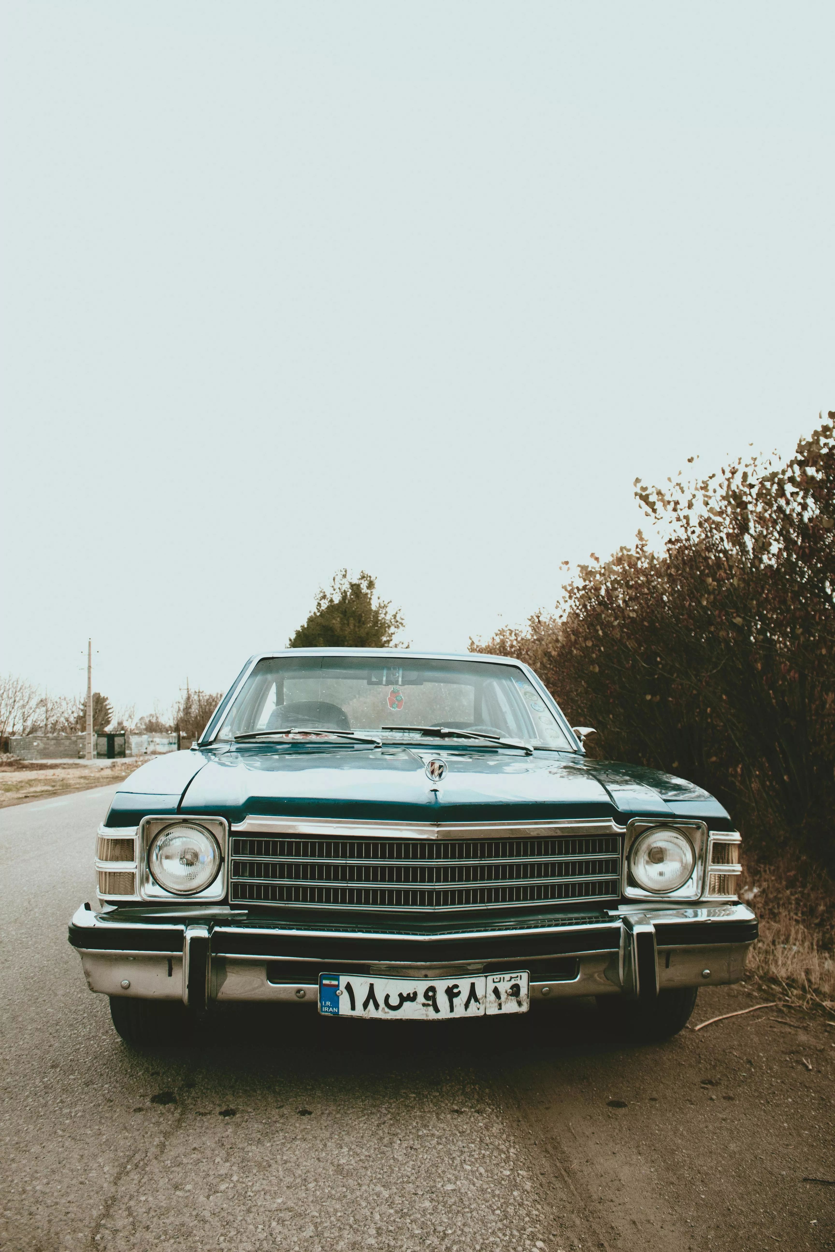 Green Buick Skylark · Free