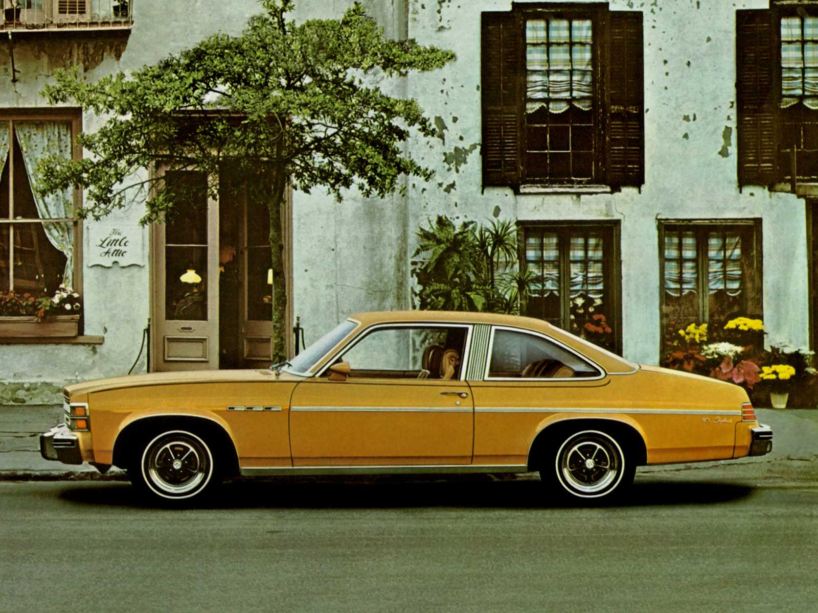 image of Buick Skylark 6th Generation