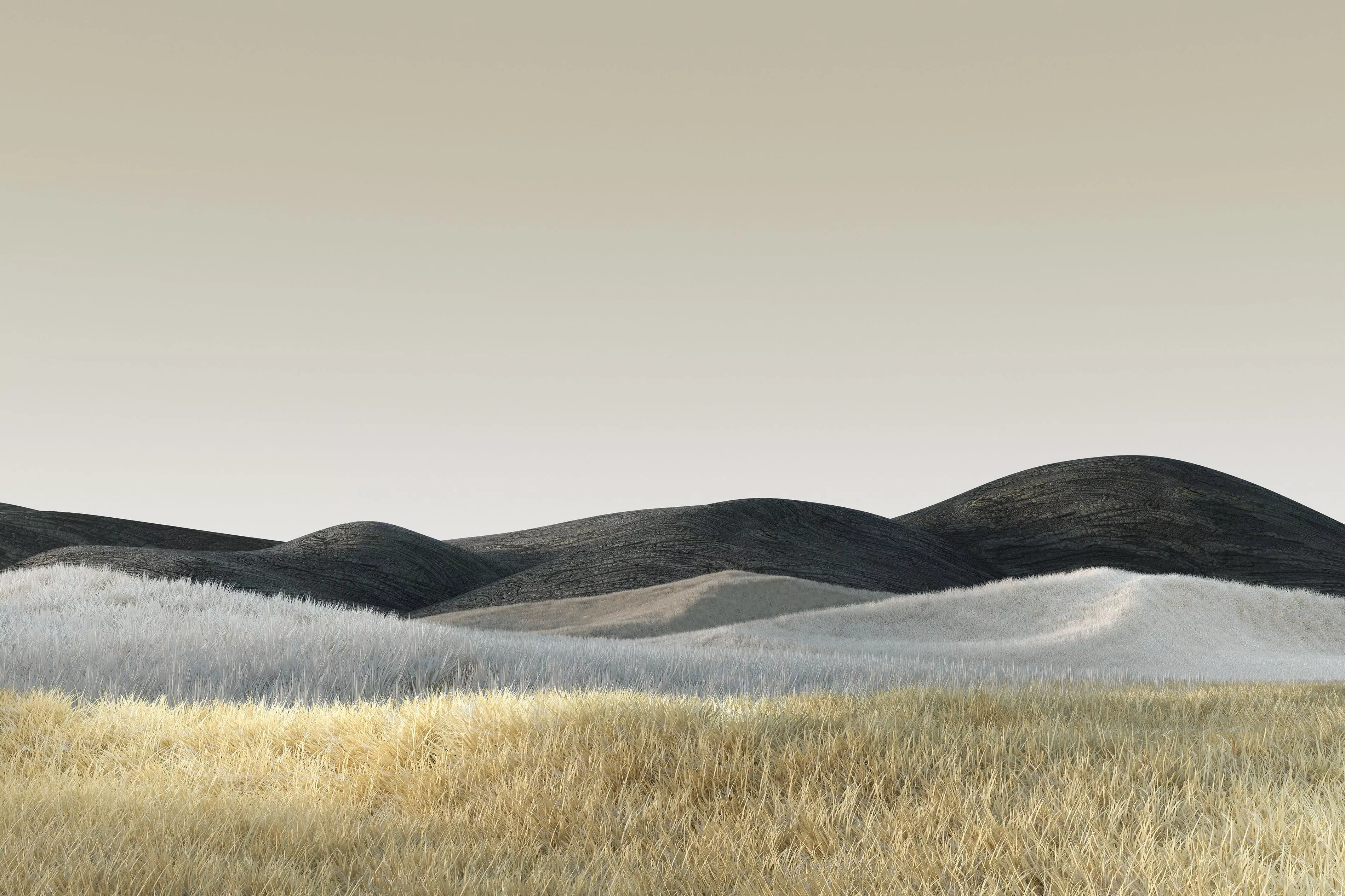 Microsoft Surface - Behance