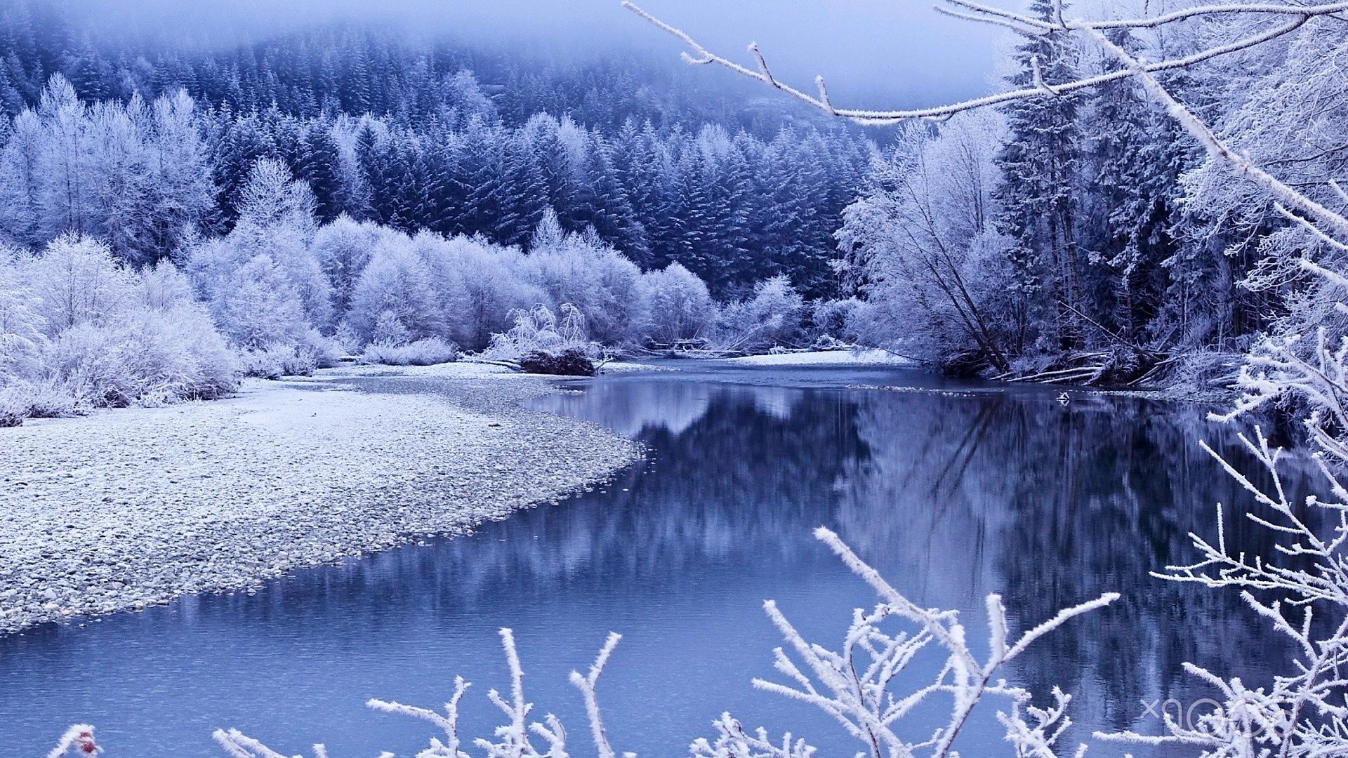 1920x1080 Winter Tree Wallpapers - Wallpaper Cave
