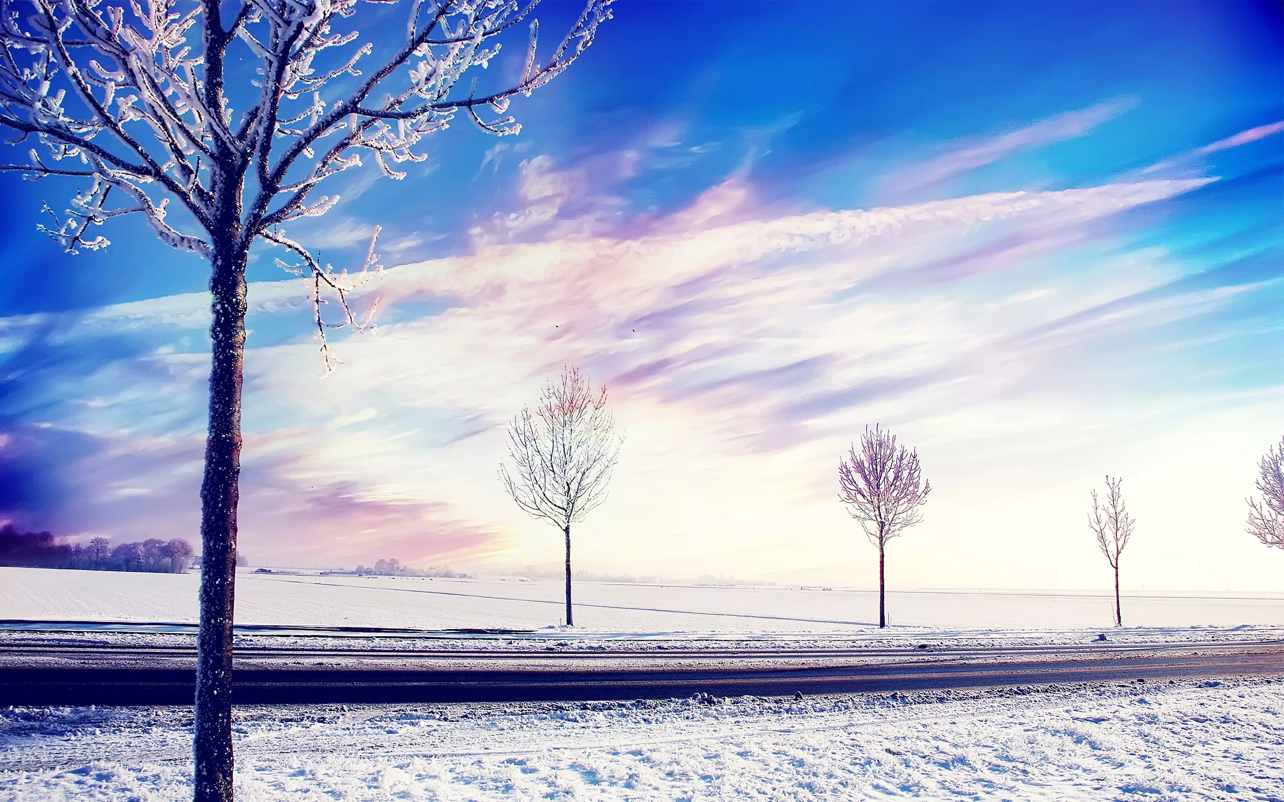 Snow Winter Trees Wallpaper. HD