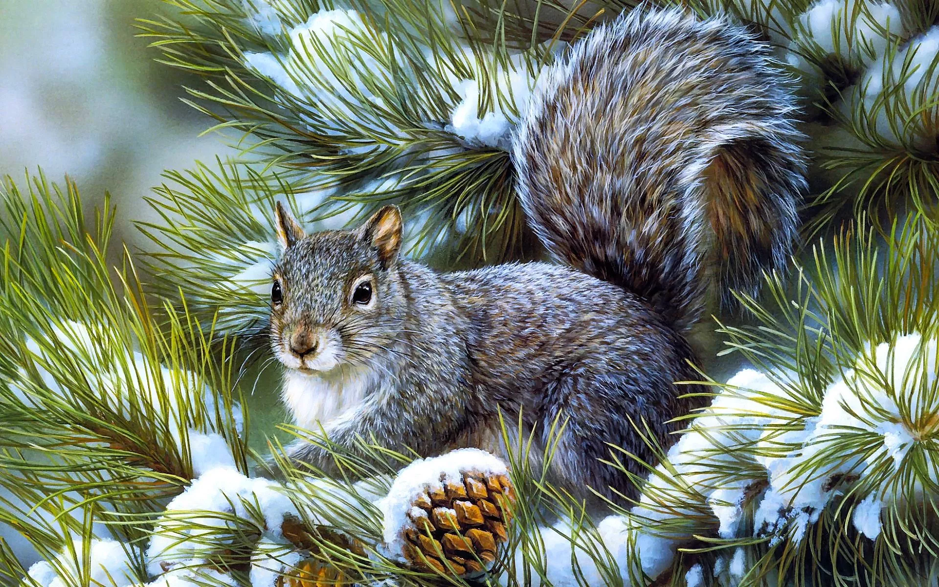 HD desktop wallpaper: Winter, Squirrel