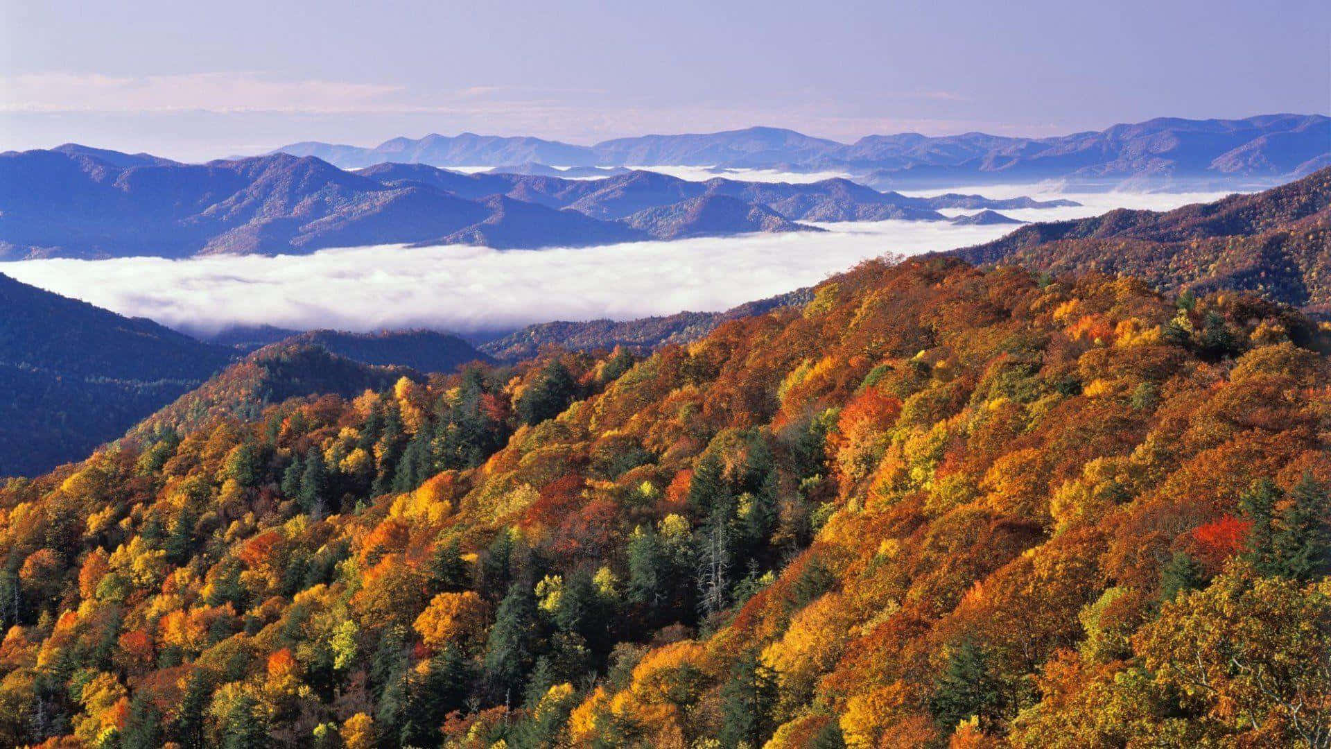 Download Great Smoky Mountains National