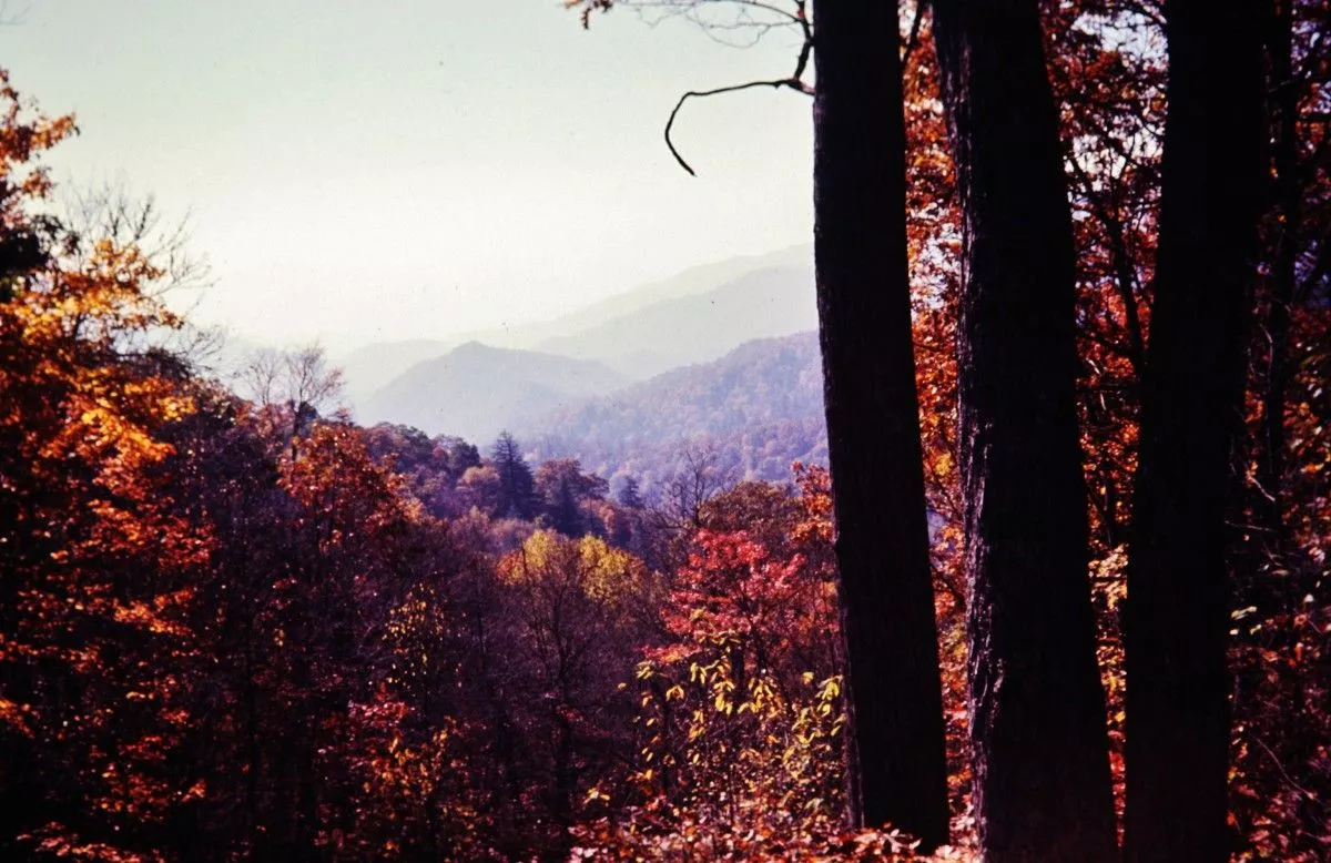 Picture of Great Smoky Mountains