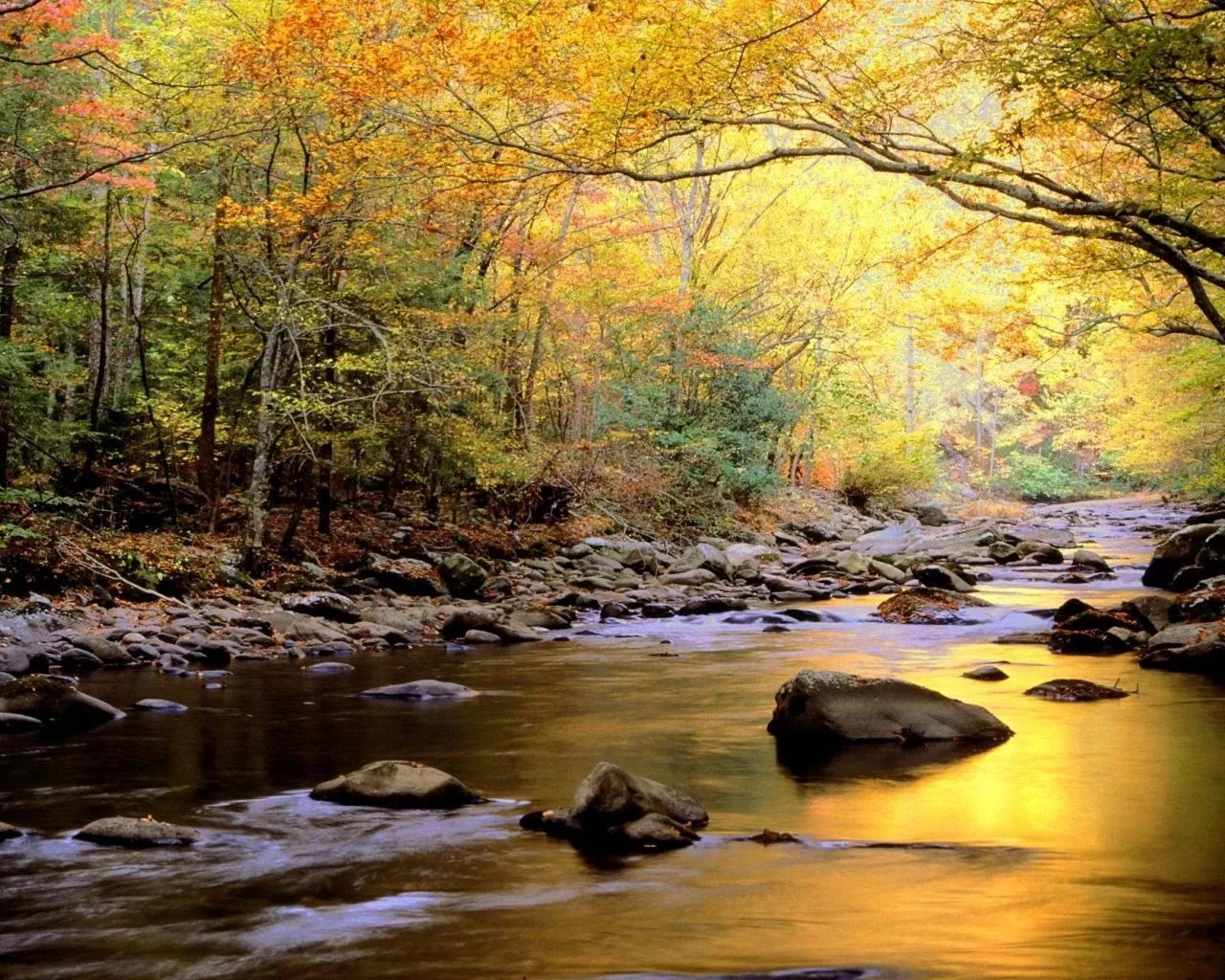 Smoky Mountains National Park Wallpaper