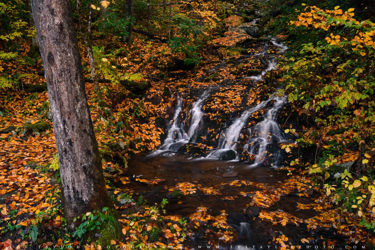 Great Smoky Mountains National Park