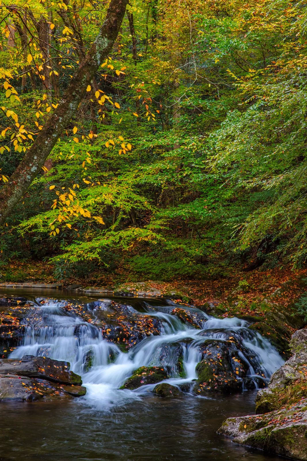 Smoky Mountains Photo Print