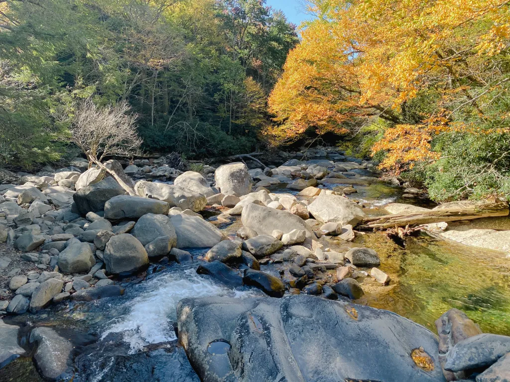 Autumn in the Smoky Mountains